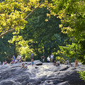 DSC_7424.jpg